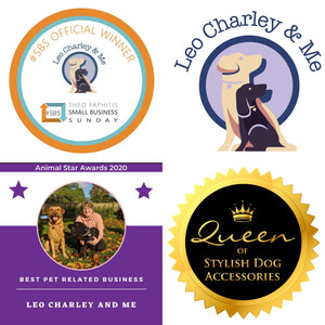 Award winning pet business Leo Charley Amd Me is announced as Animal Star Award winner for best pet related business. They also won Theo Paphitis SBS  and became Queen of Stylish Dog Accessories 