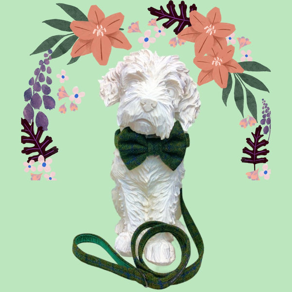 Ten top tips to help you include your dog in your wedding.