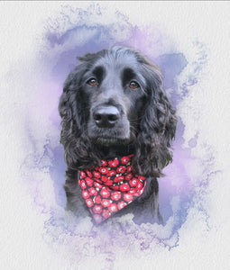 Why we support Spaniel Aid UK