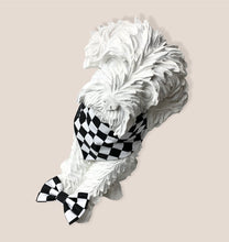 Charley in Paris Dog Collar