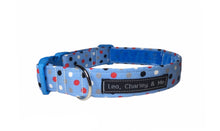 Dilyn the Downing Street Dog dotty blue dog collar in washable cotton poplin 