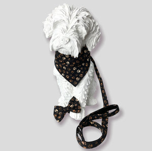 Dog mannequin wearing the Muddy Paws print collection of collar, bandana and lead. All handmade in the UK and washable  