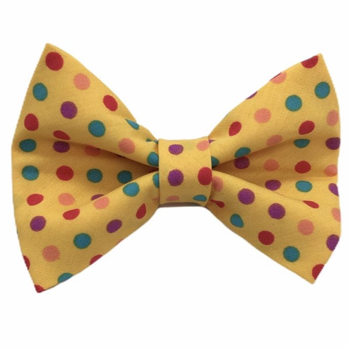 Sunshine Spot Dog bow tie in yellow with coloured polka dots. Matches our range of Sunshine Spot dog collars and accessories. Hand made and washable. 