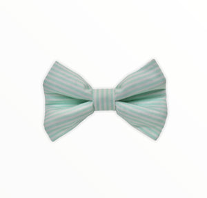 Handmade dog bow tie in cotton print. Made by hand in the U.K. and washable. Mint green candy striped cotton bow tie. 
