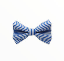 Handmade dog bow tie in cotton print. Made by hand in the U.K. and washable. Blue candy stripe cotton poplin dog bow tie.