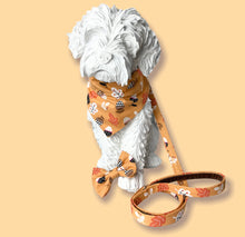Dog mannequin wearing Autumn Days dog collar, bandana and lead. Handmade in the UK and washable 