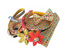 Bright yellow polka dot print dog collar, bandana, lead and bow with accessories.