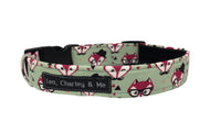 Foxy Gentleman sage green fabric dog collar printed with foxy faces. 