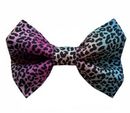 Handmade Rainbow Leopard print dog bow tie. Made in the U.K. and washable.