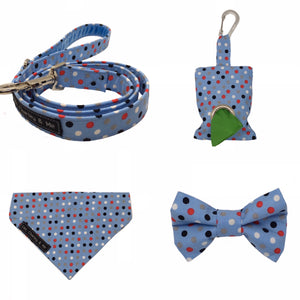 Dilyn The Downing Street Dog dotty for blue lead, bandana and accessories. 
