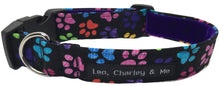 Rainbow paw print dog collar with black background and purple velvet lining.