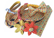 Sunshine Spot print dog collar and accessories. Hand made in the U.K. and washable. 