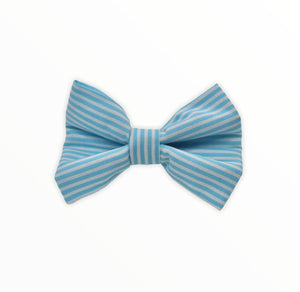 Handmade dog bow tie in cotton print. Made by hand in the U.K. and washable. Turquoise candy stripe cotton poplin dog bow tie..