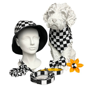 Charley in Paris black and white checker board print collar, bandana, bow, lead and collar flower with bucket hats and scrunchies for owners. Hand made in the UK. 
