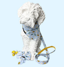 Dog mannequin wearing the bee and daisy print bandana with matching lead, collar, and bow tie. All handmade in the UK and washable.